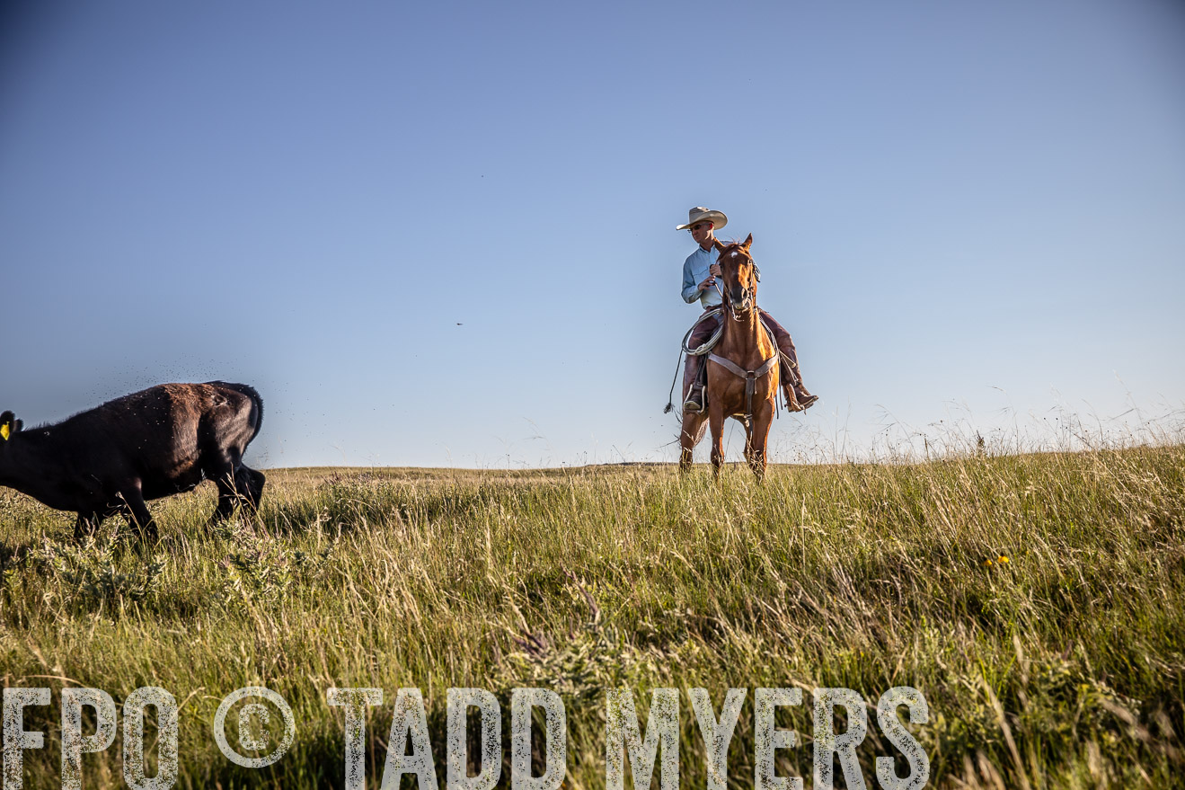 PP_TuckerRanch_NE_July2019-42109