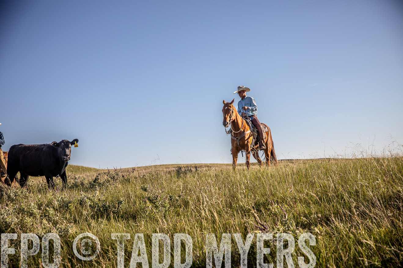 PP_TuckerRanch_NE_July2019-42110