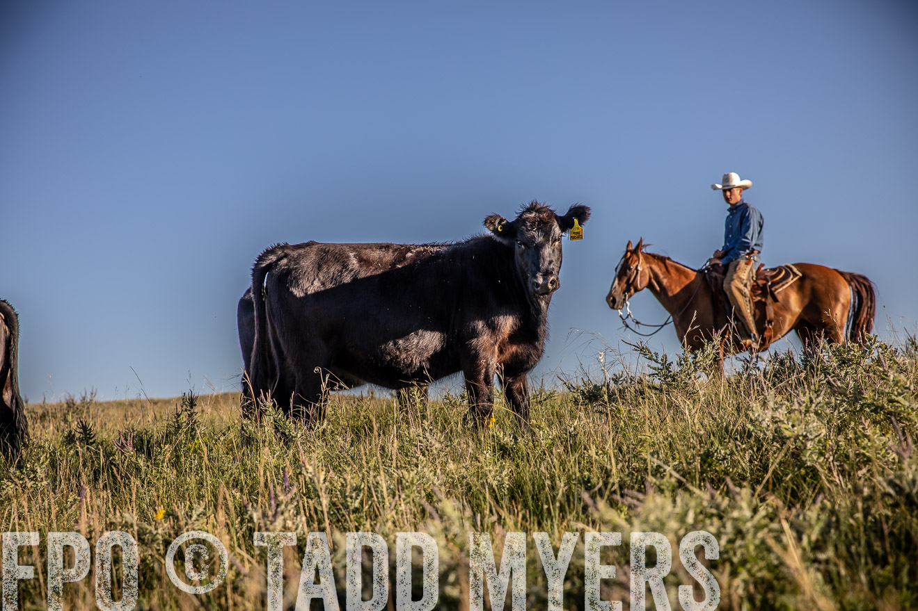 PP_TuckerRanch_NE_July2019-42112