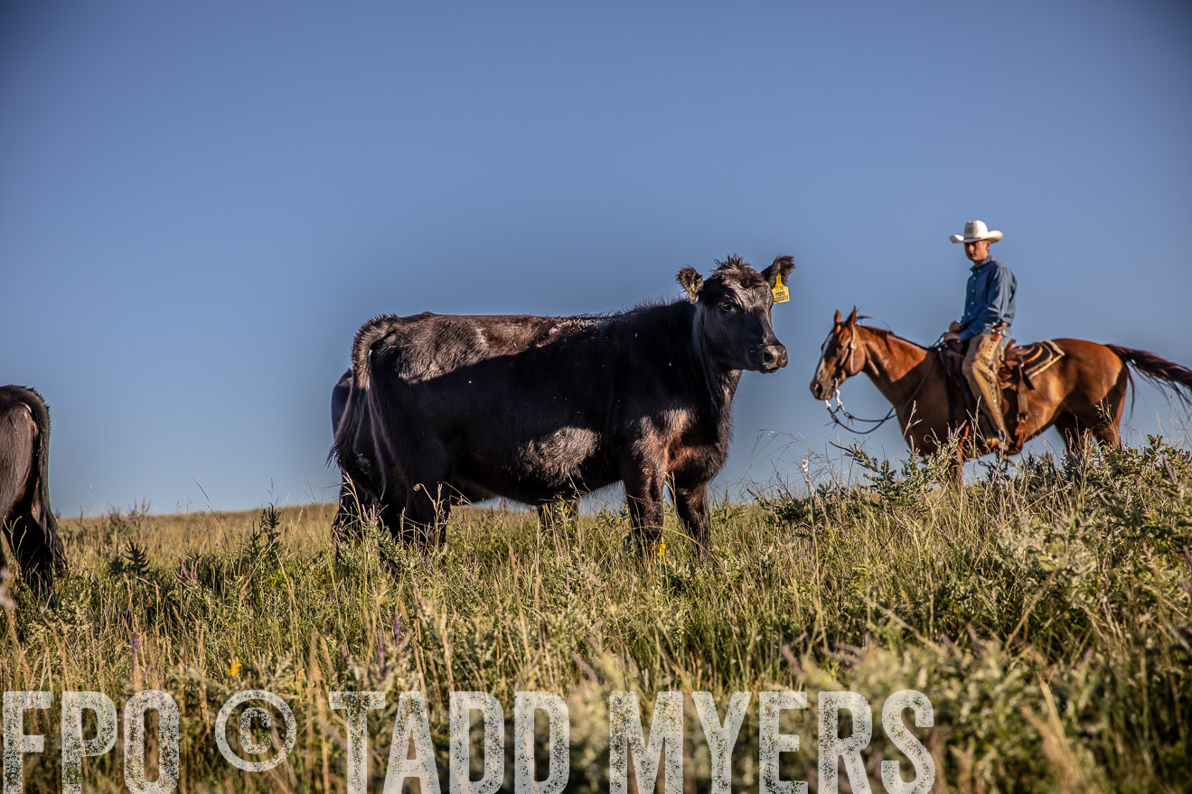 PP_TuckerRanch_NE_July2019-42114
