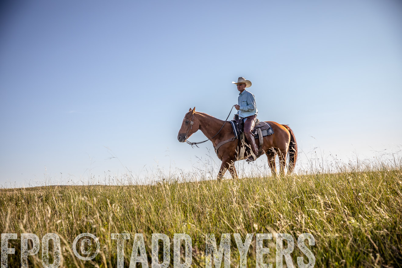 PP_TuckerRanch_NE_July2019-42127