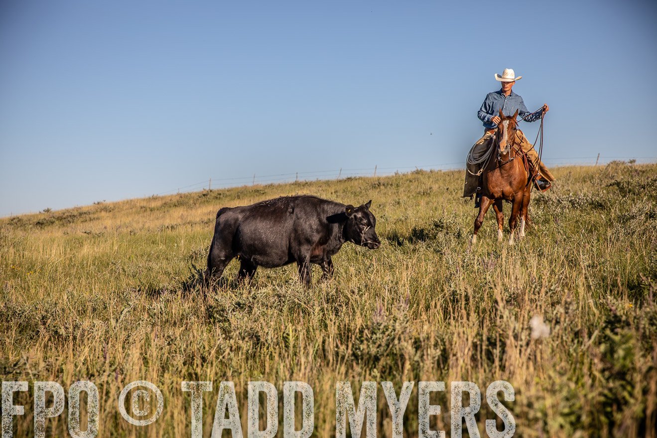 PP_TuckerRanch_NE_July2019-42129