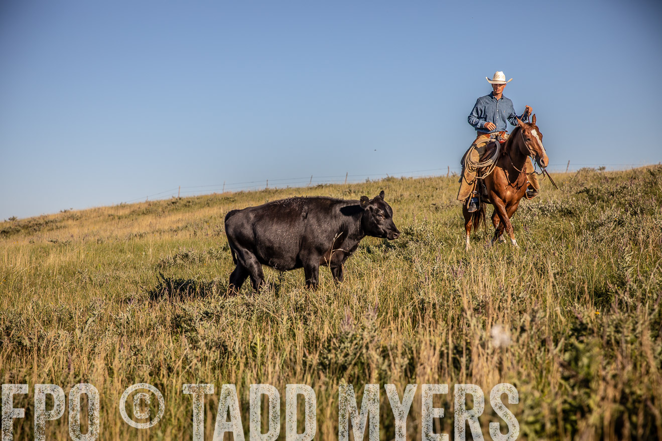 PP_TuckerRanch_NE_July2019-42130