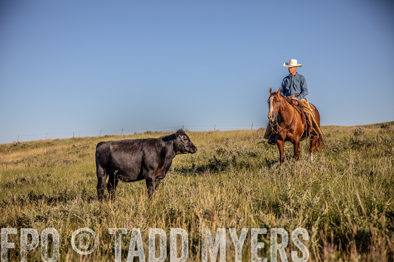 PP_TuckerRanch_NE_July2019-42133