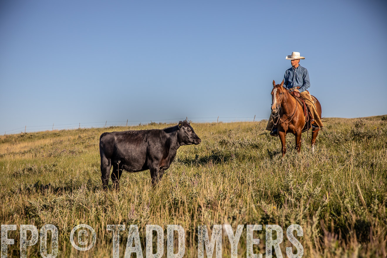 PP_TuckerRanch_NE_July2019-42134