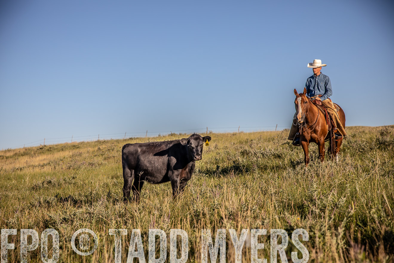 PP_TuckerRanch_NE_July2019-42135