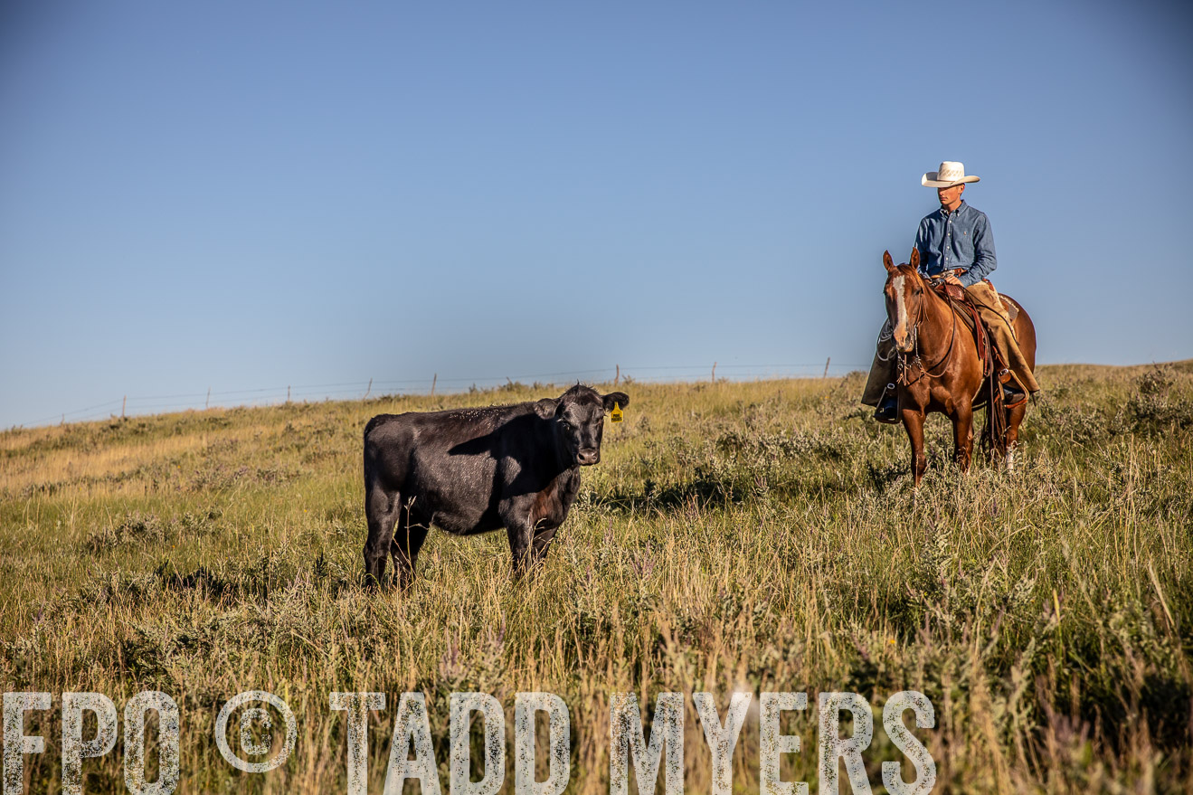 PP_TuckerRanch_NE_July2019-42136