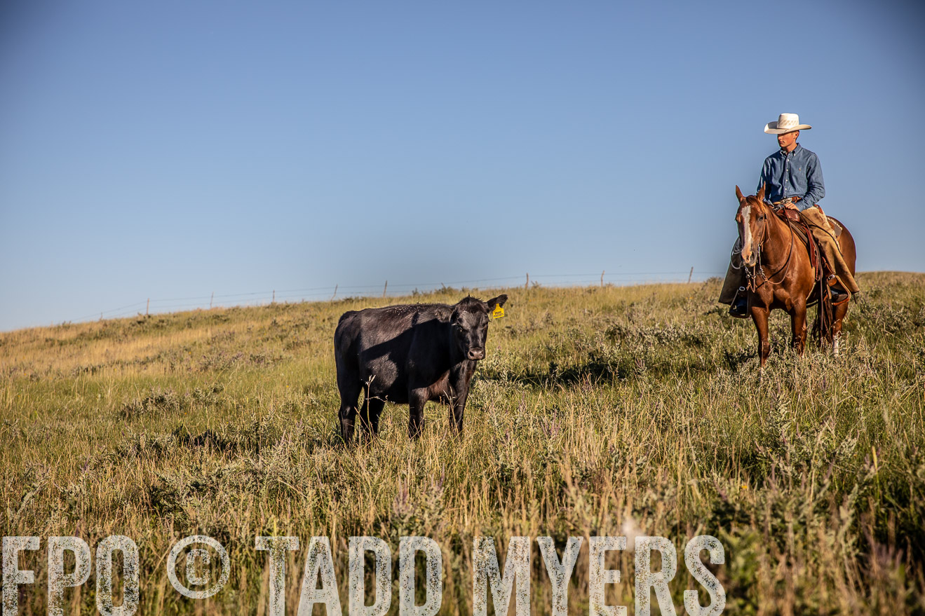 PP_TuckerRanch_NE_July2019-42137