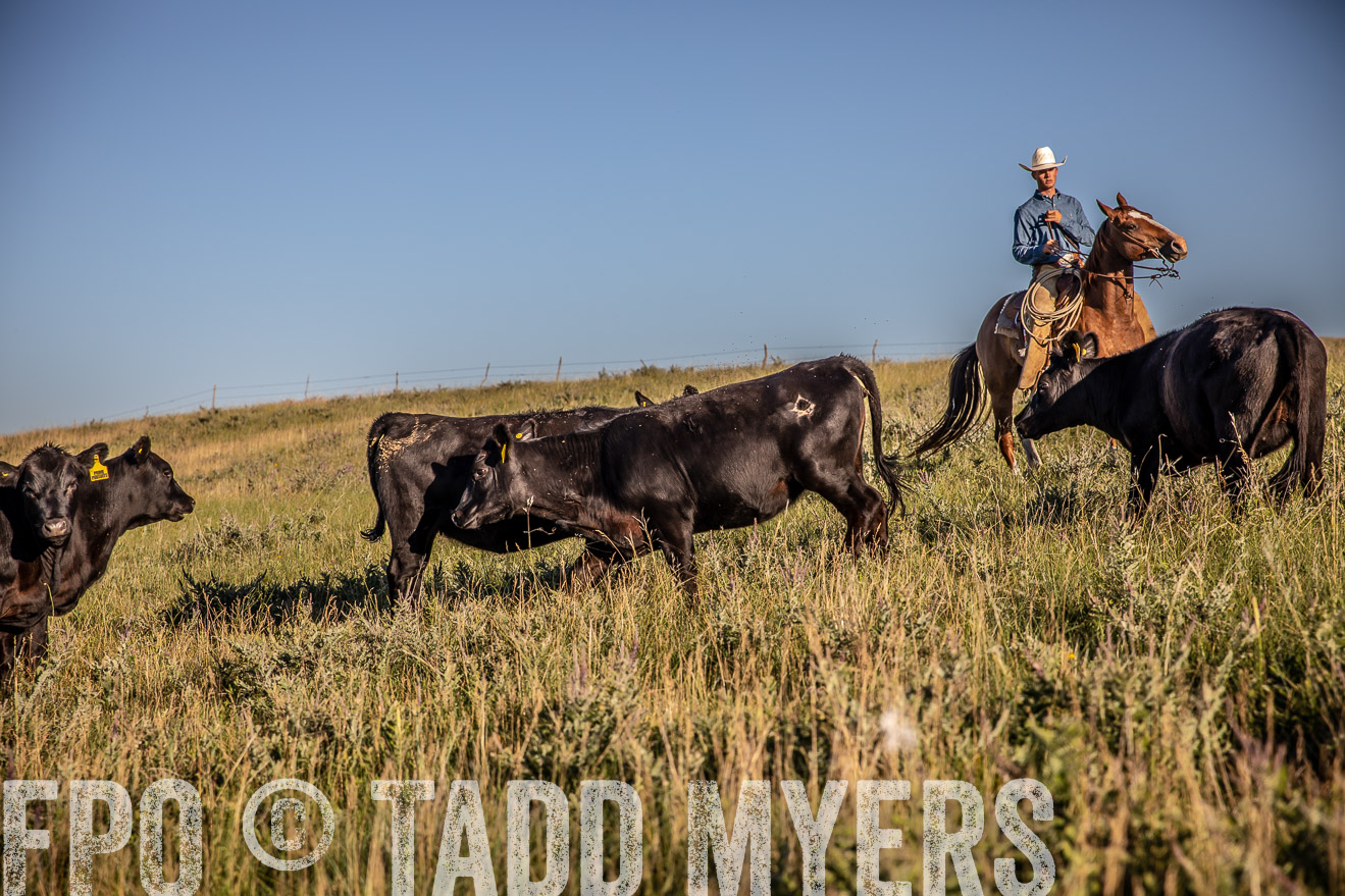 PP_TuckerRanch_NE_July2019-42140