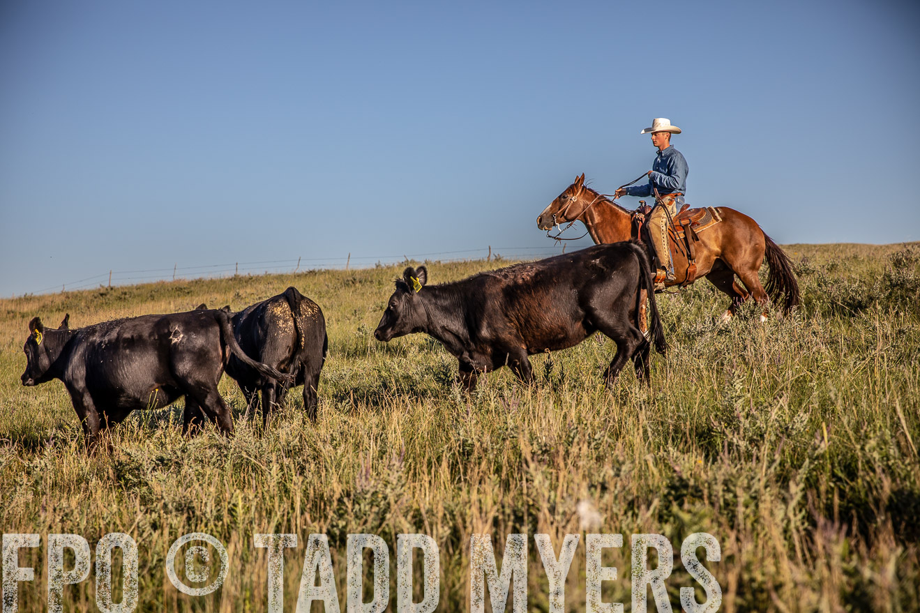 PP_TuckerRanch_NE_July2019-42142