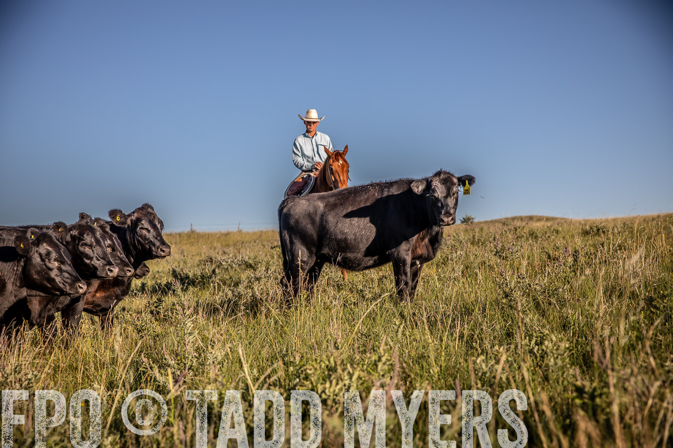 PP_TuckerRanch_NE_July2019-42162