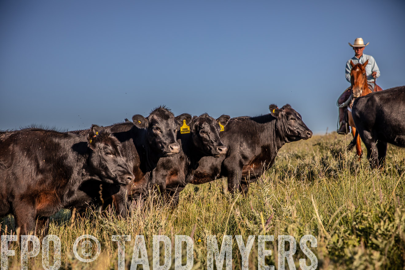 PP_TuckerRanch_NE_July2019-42173