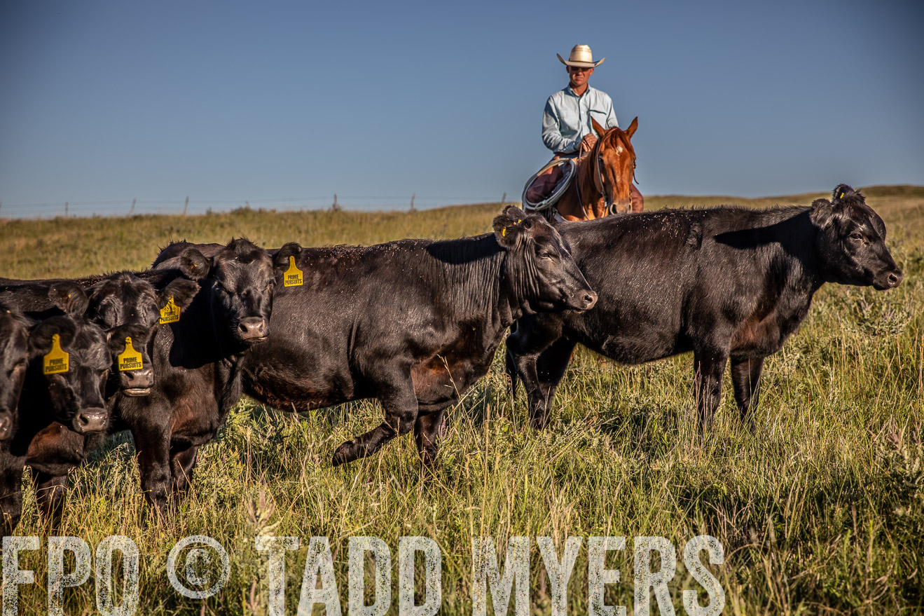 PP_TuckerRanch_NE_July2019-42183