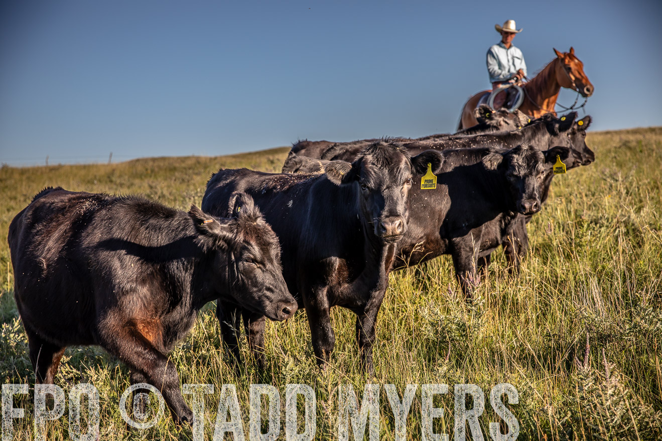 PP_TuckerRanch_NE_July2019-42188