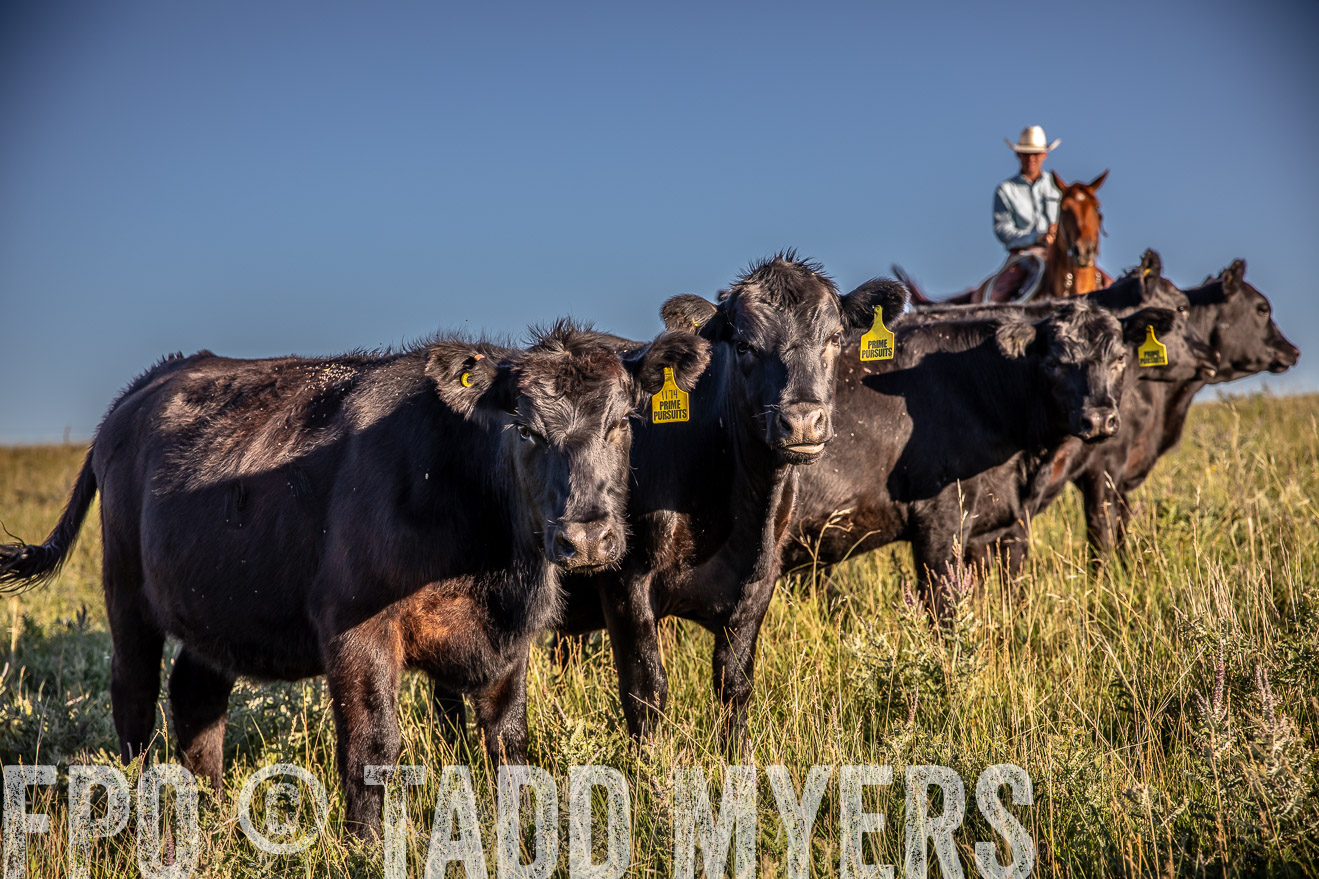 PP_TuckerRanch_NE_July2019-42190