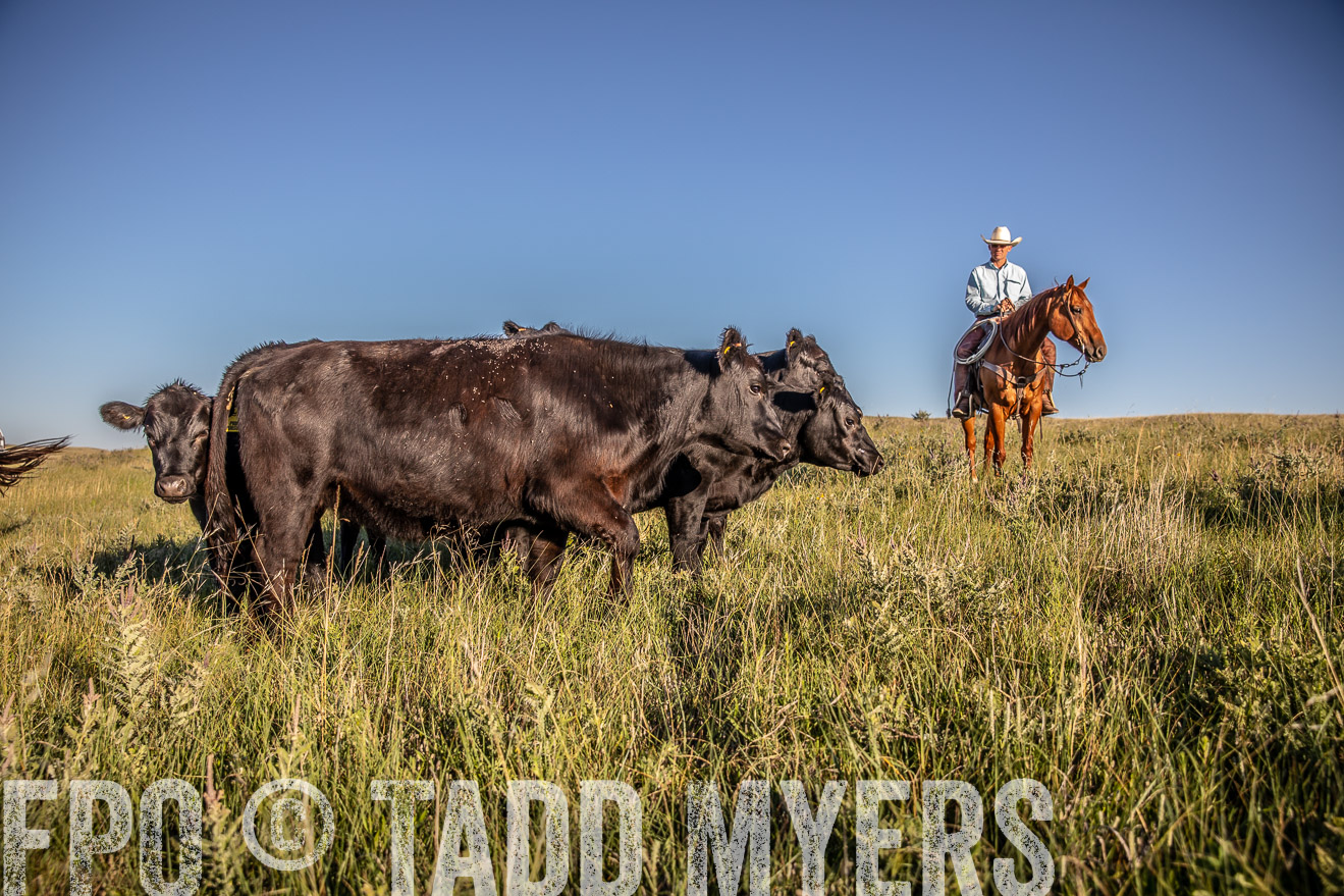 PP_TuckerRanch_NE_July2019-42204