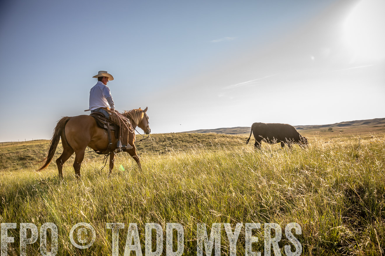 PP_TuckerRanch_NE_July2019-42227