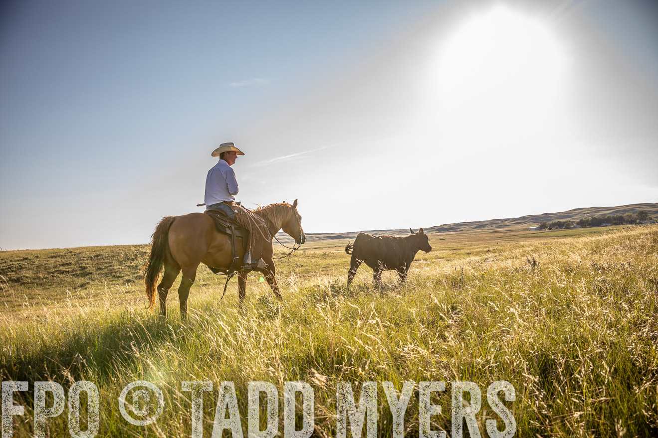 PP_TuckerRanch_NE_July2019-42230