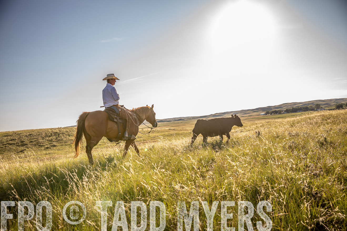 PP_TuckerRanch_NE_July2019-42231