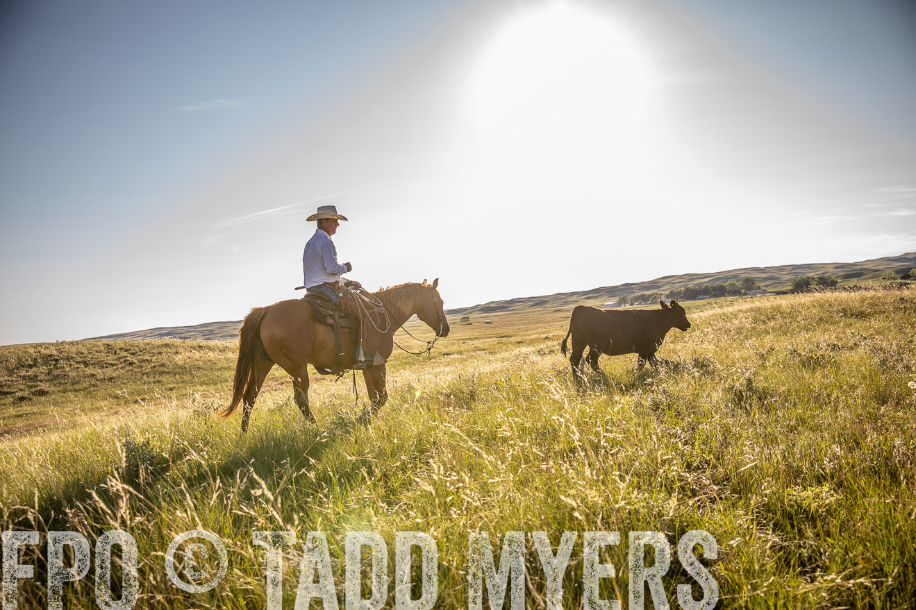 PP_TuckerRanch_NE_July2019-42232
