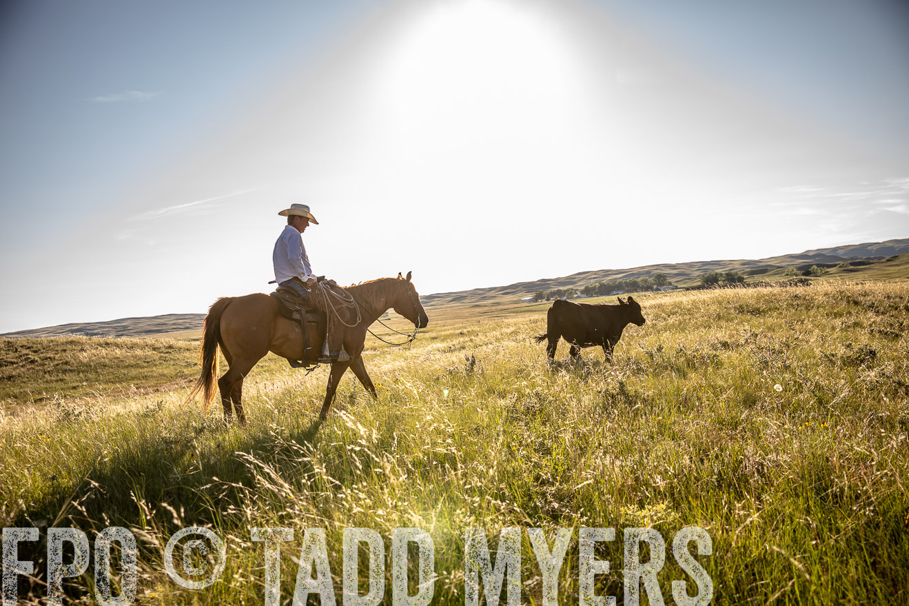 PP_TuckerRanch_NE_July2019-42233