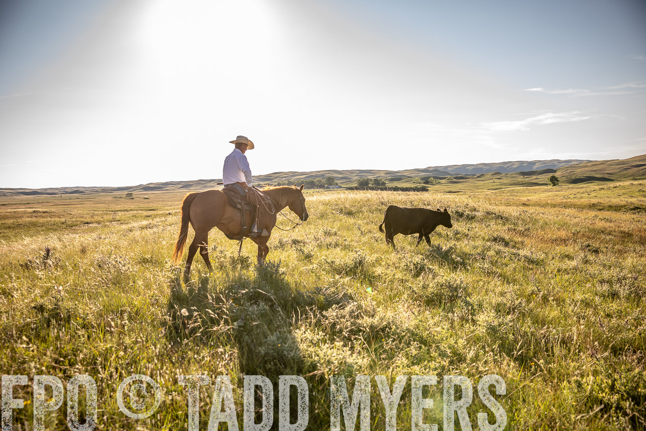 PP_TuckerRanch_NE_July2019-42235