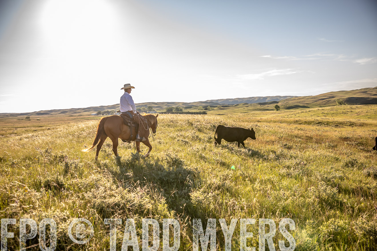 PP_TuckerRanch_NE_July2019-42237