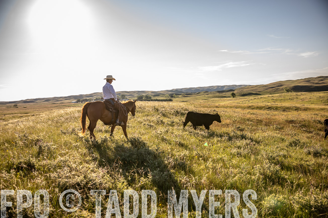 PP_TuckerRanch_NE_July2019-42238