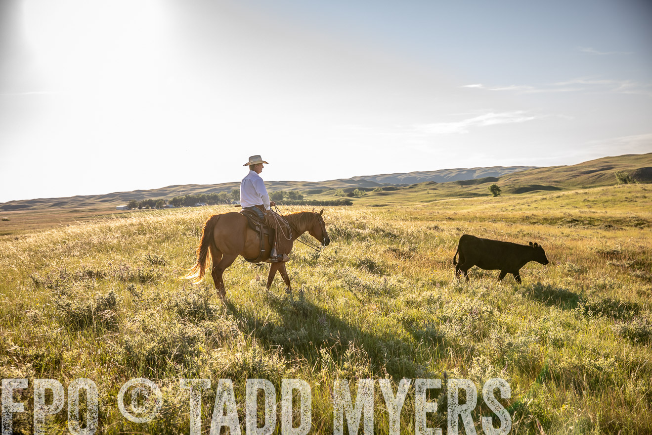 PP_TuckerRanch_NE_July2019-42239