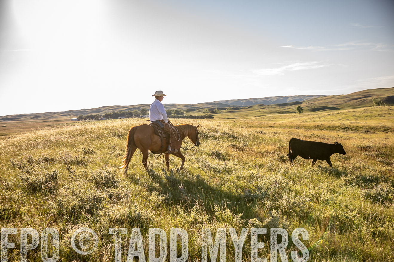 PP_TuckerRanch_NE_July2019-42240