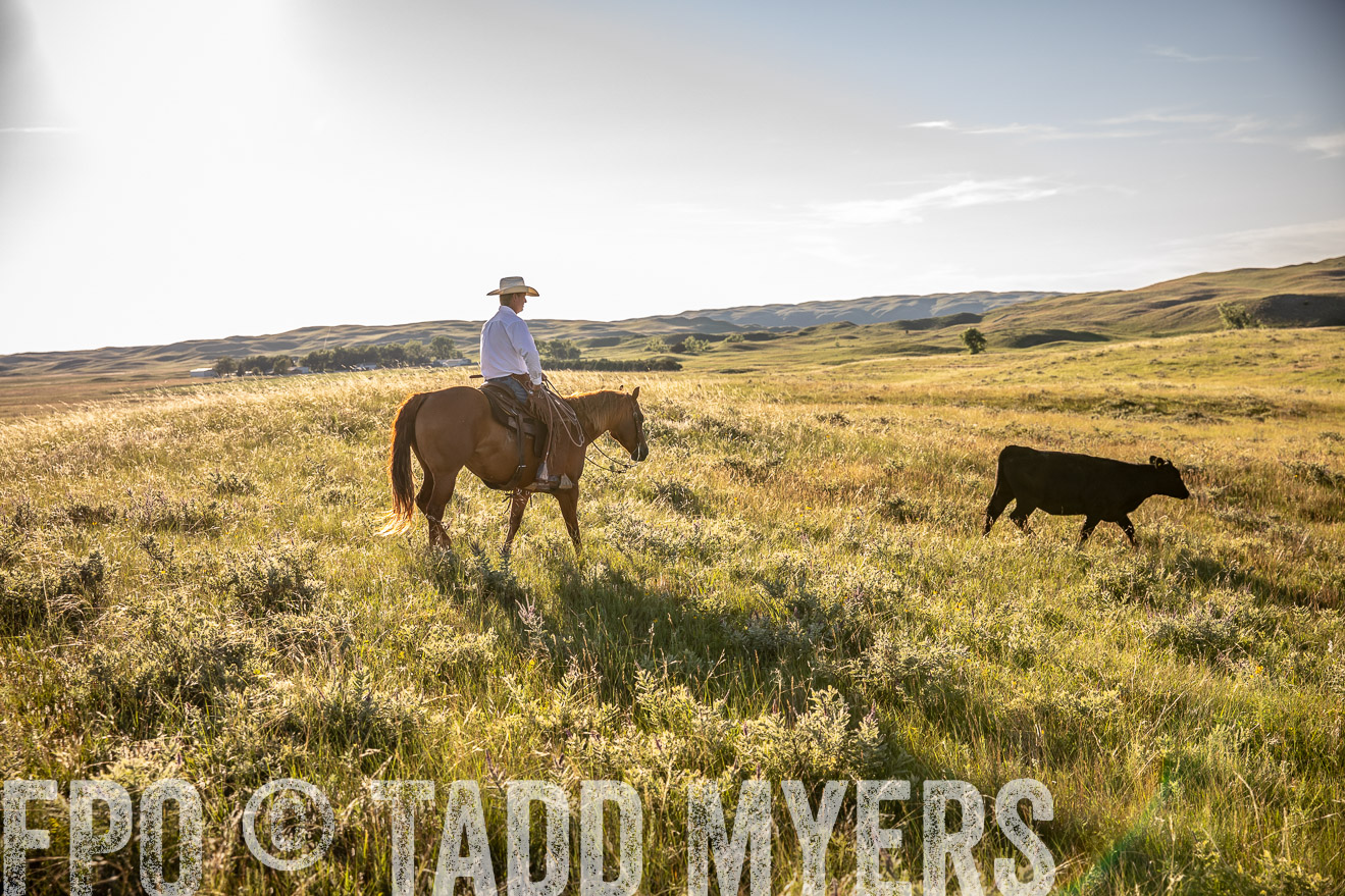 PP_TuckerRanch_NE_July2019-42241
