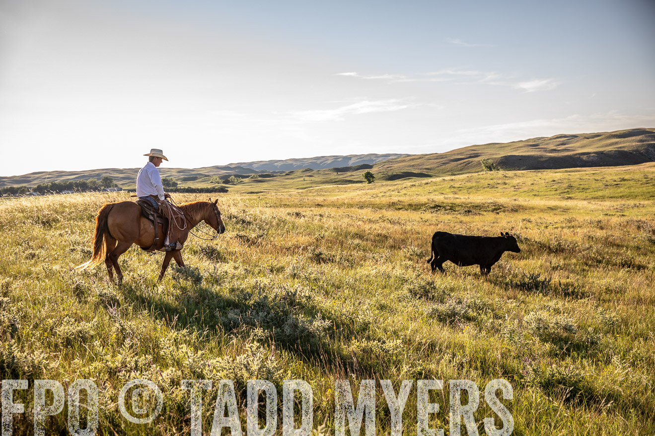 PP_TuckerRanch_NE_July2019-42242