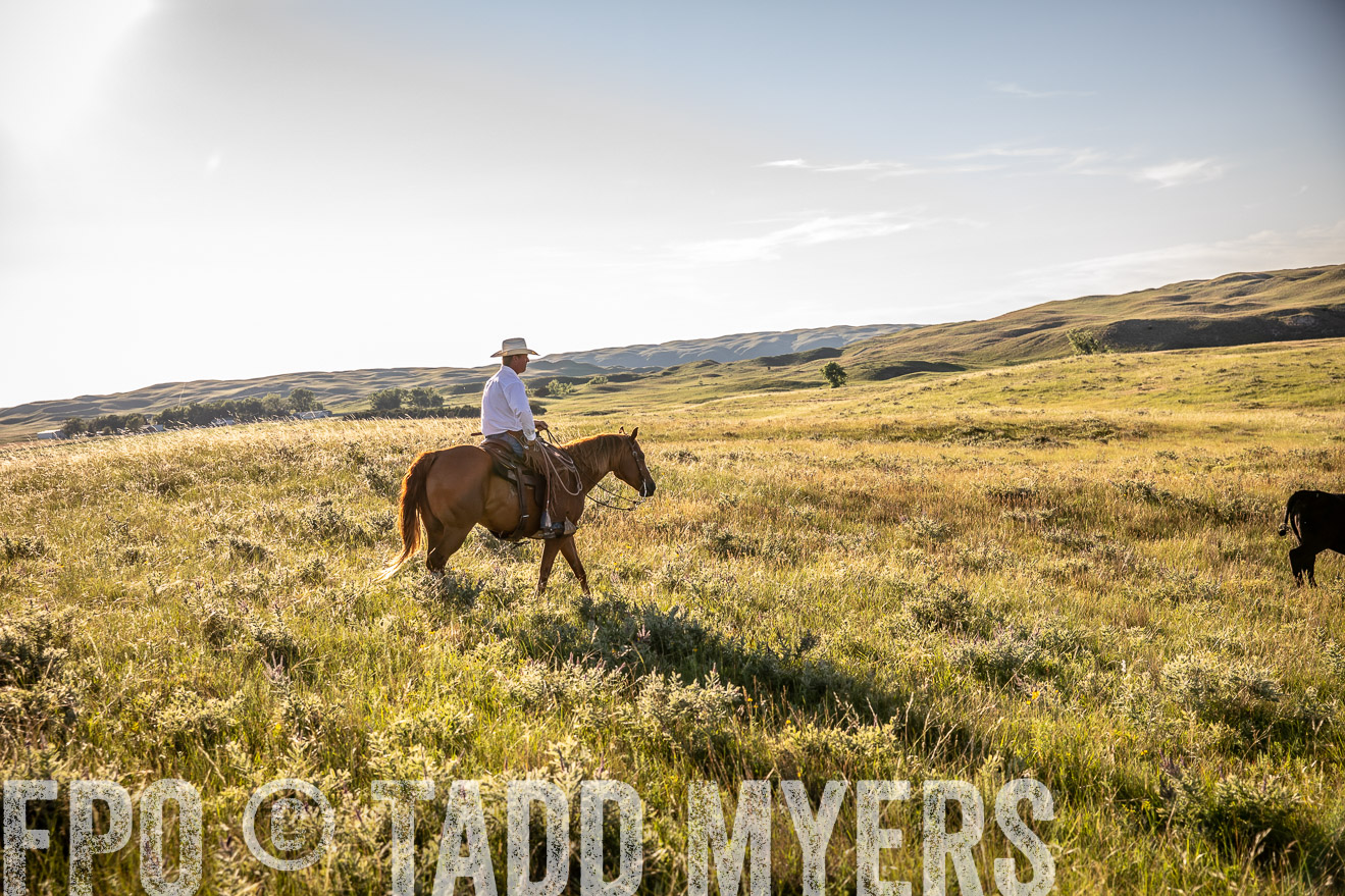 PP_TuckerRanch_NE_July2019-42243