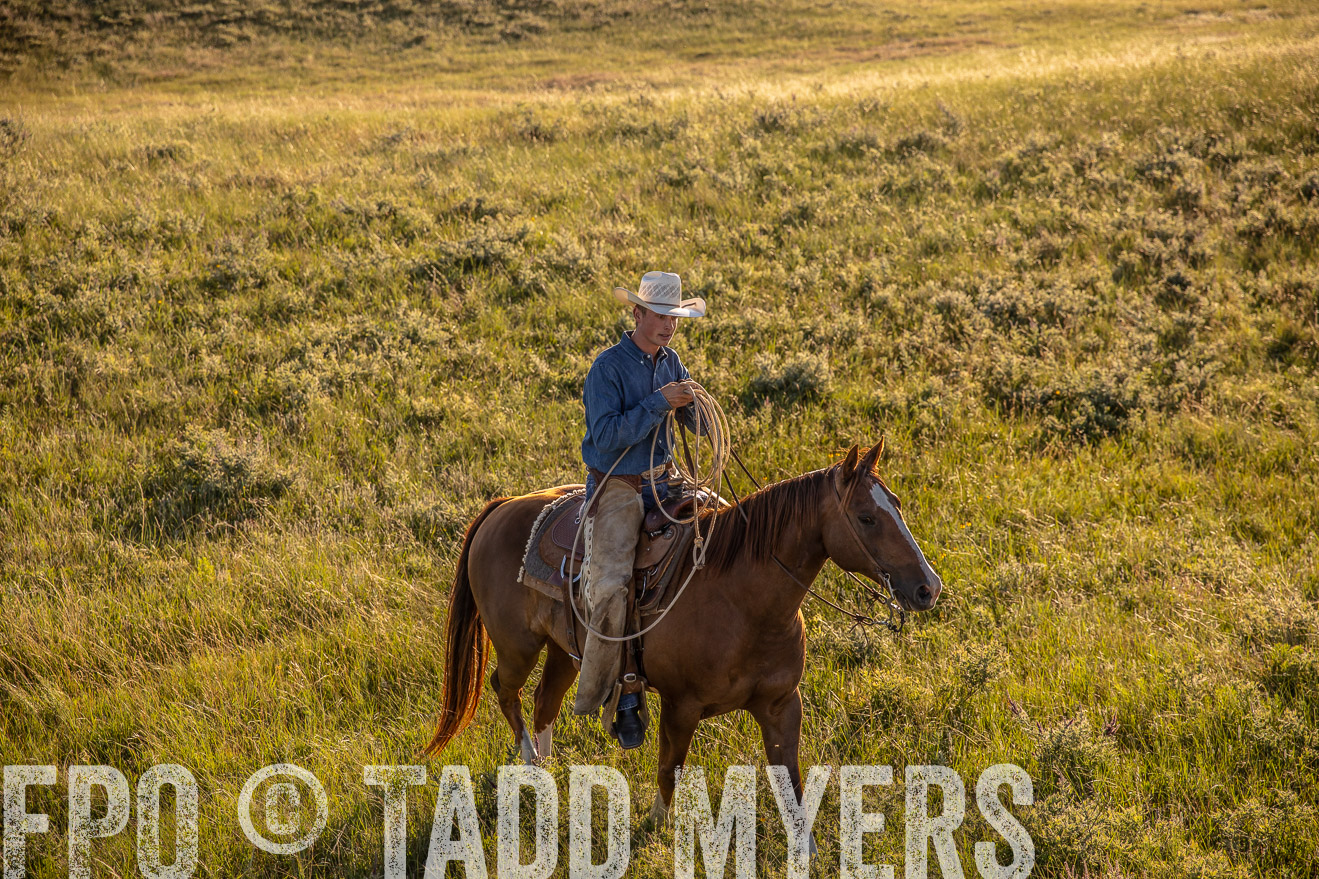 PP_TuckerRanch_NE_July2019-42273