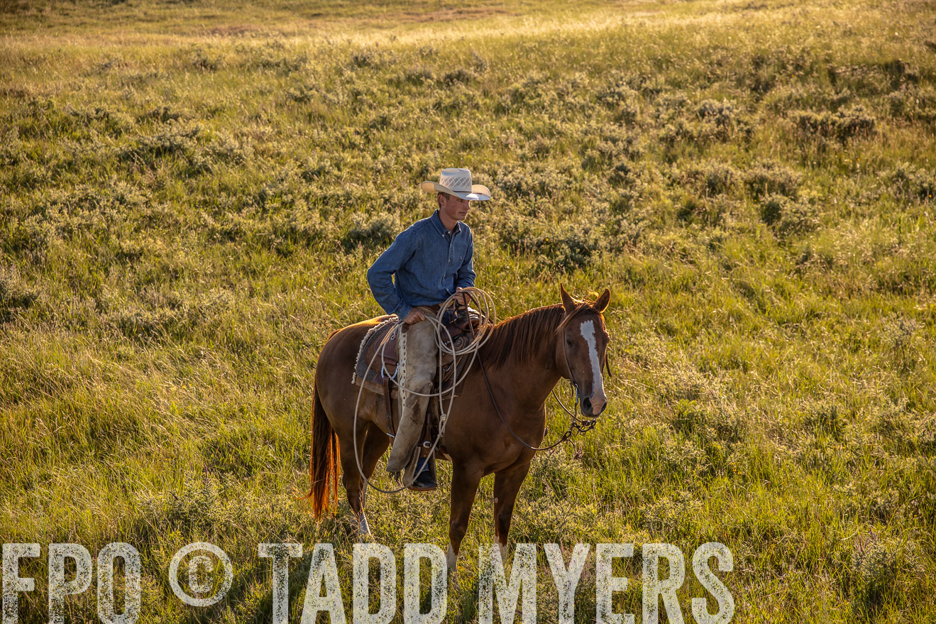 PP_TuckerRanch_NE_July2019-42275