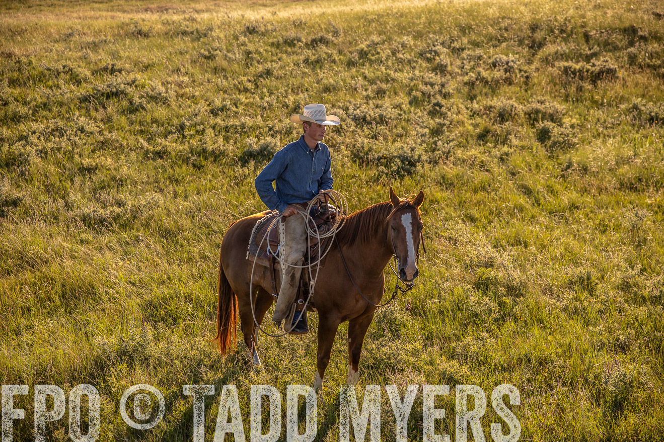 PP_TuckerRanch_NE_July2019-42276