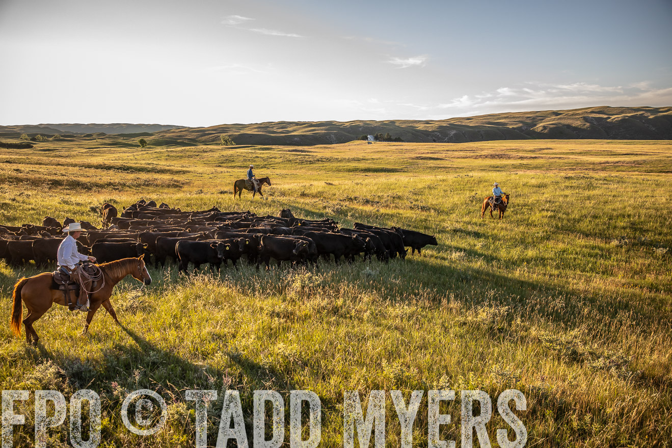 PP_TuckerRanch_NE_July2019-42293