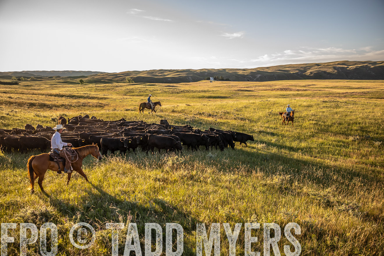 PP_TuckerRanch_NE_July2019-42294