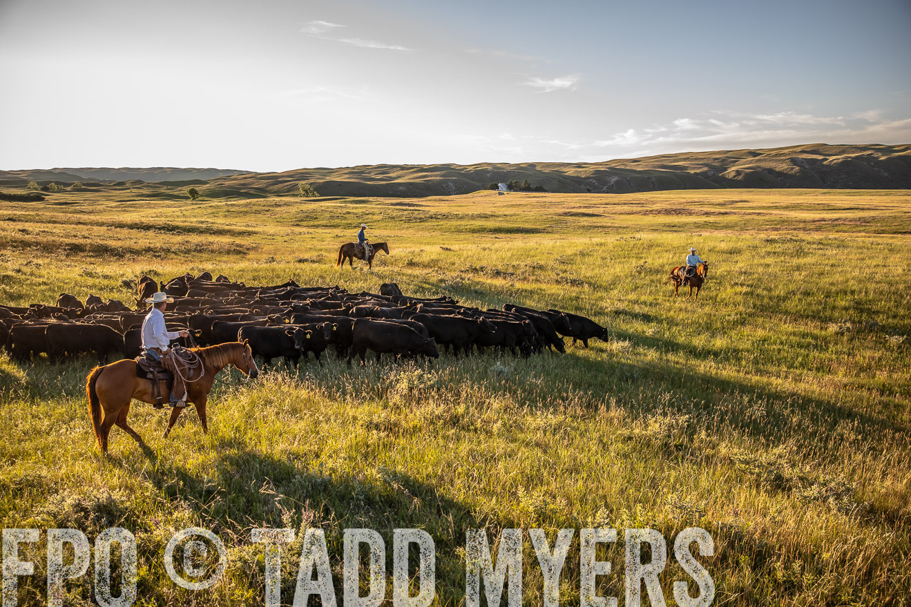 PP_TuckerRanch_NE_July2019-42295