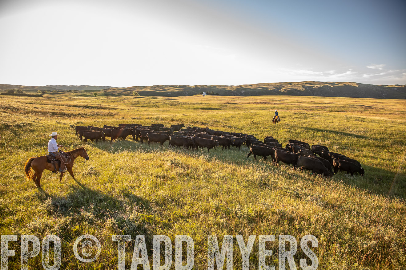 PP_TuckerRanch_NE_July2019-42303