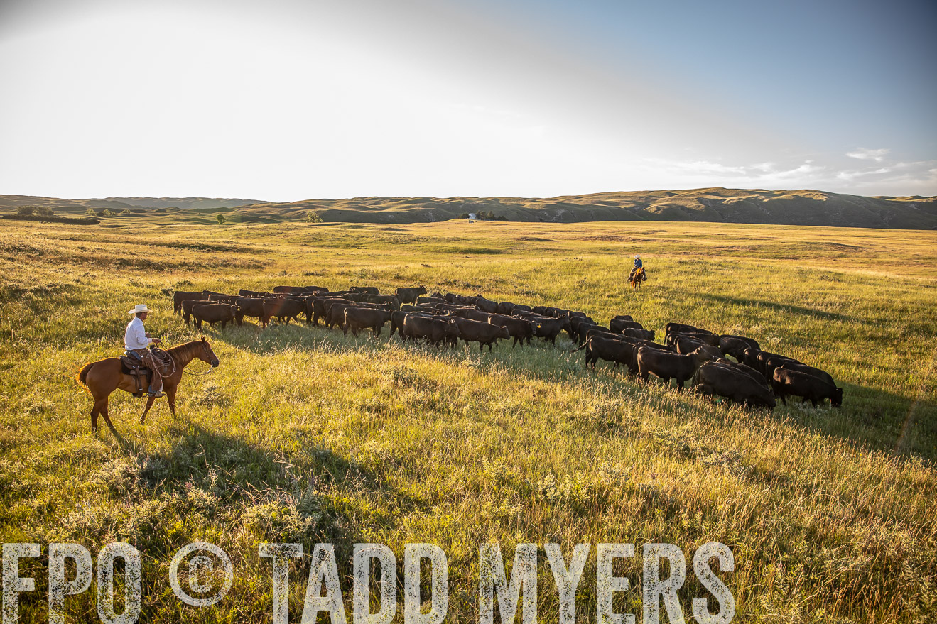 PP_TuckerRanch_NE_July2019-42304