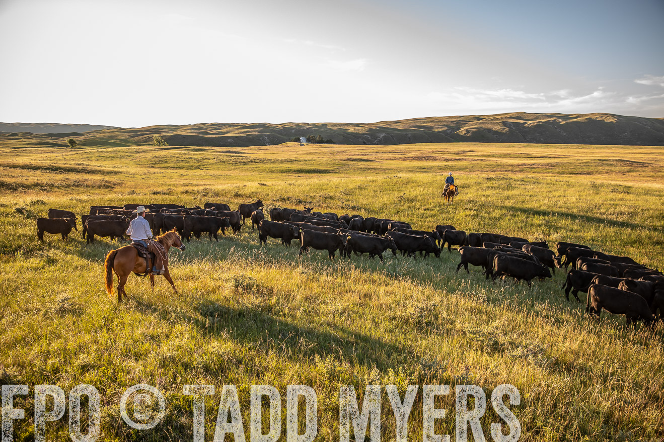 PP_TuckerRanch_NE_July2019-42305