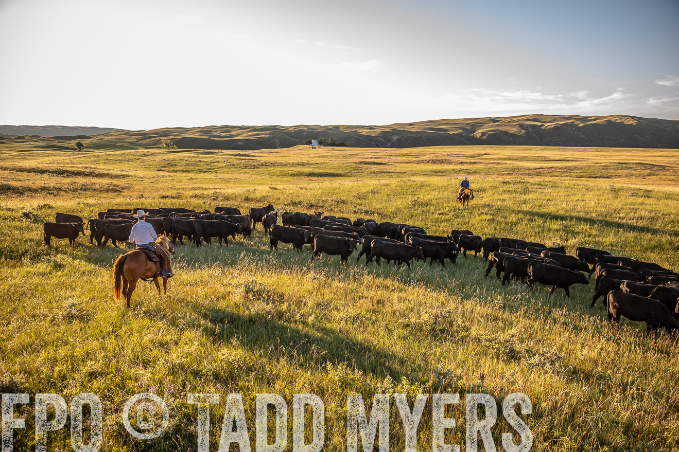 PP_TuckerRanch_NE_July2019-42306