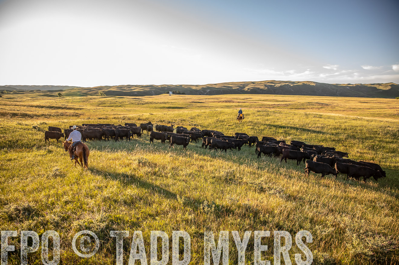PP_TuckerRanch_NE_July2019-42307
