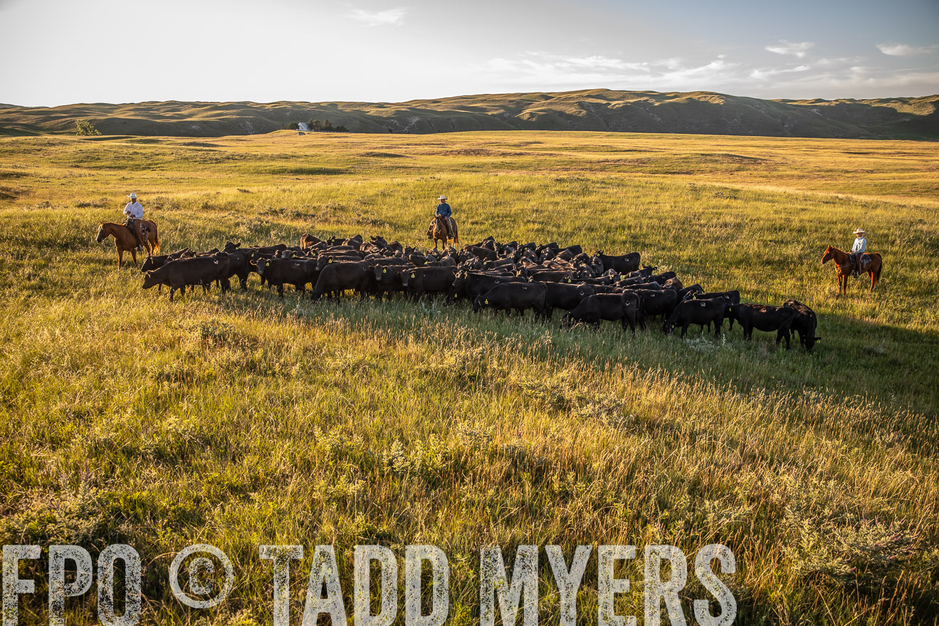 PP_TuckerRanch_NE_July2019-42313