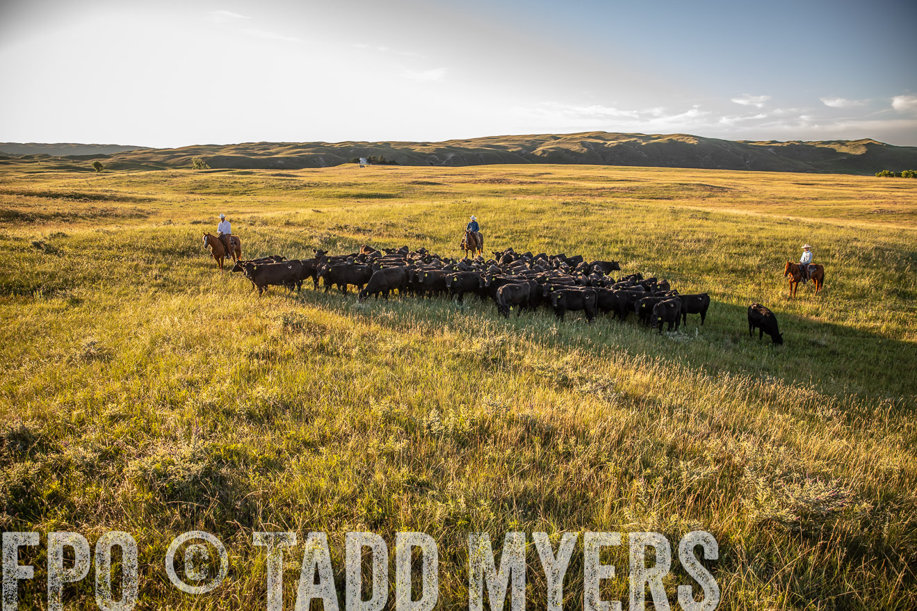 PP_TuckerRanch_NE_July2019-42315