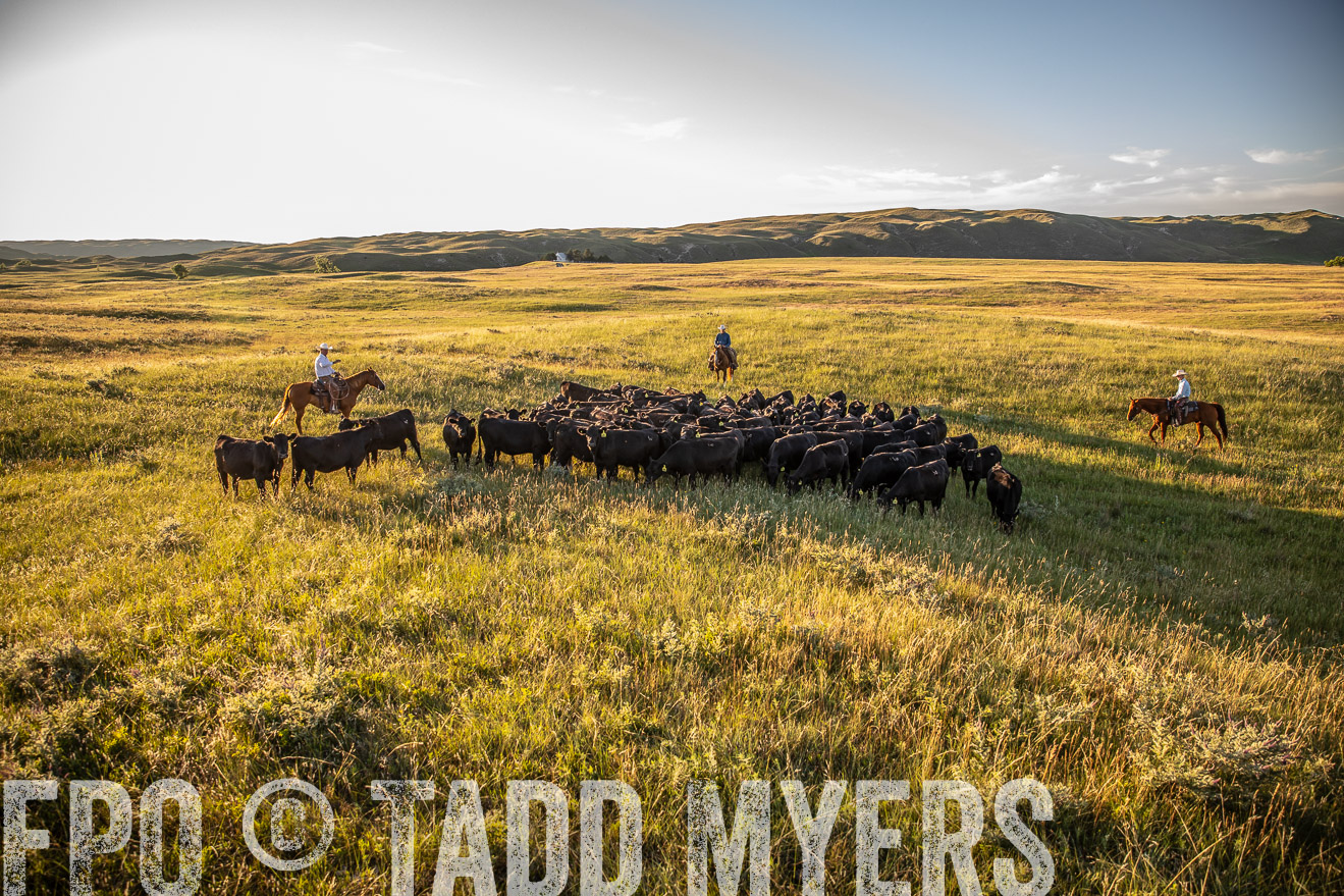 PP_TuckerRanch_NE_July2019-42321