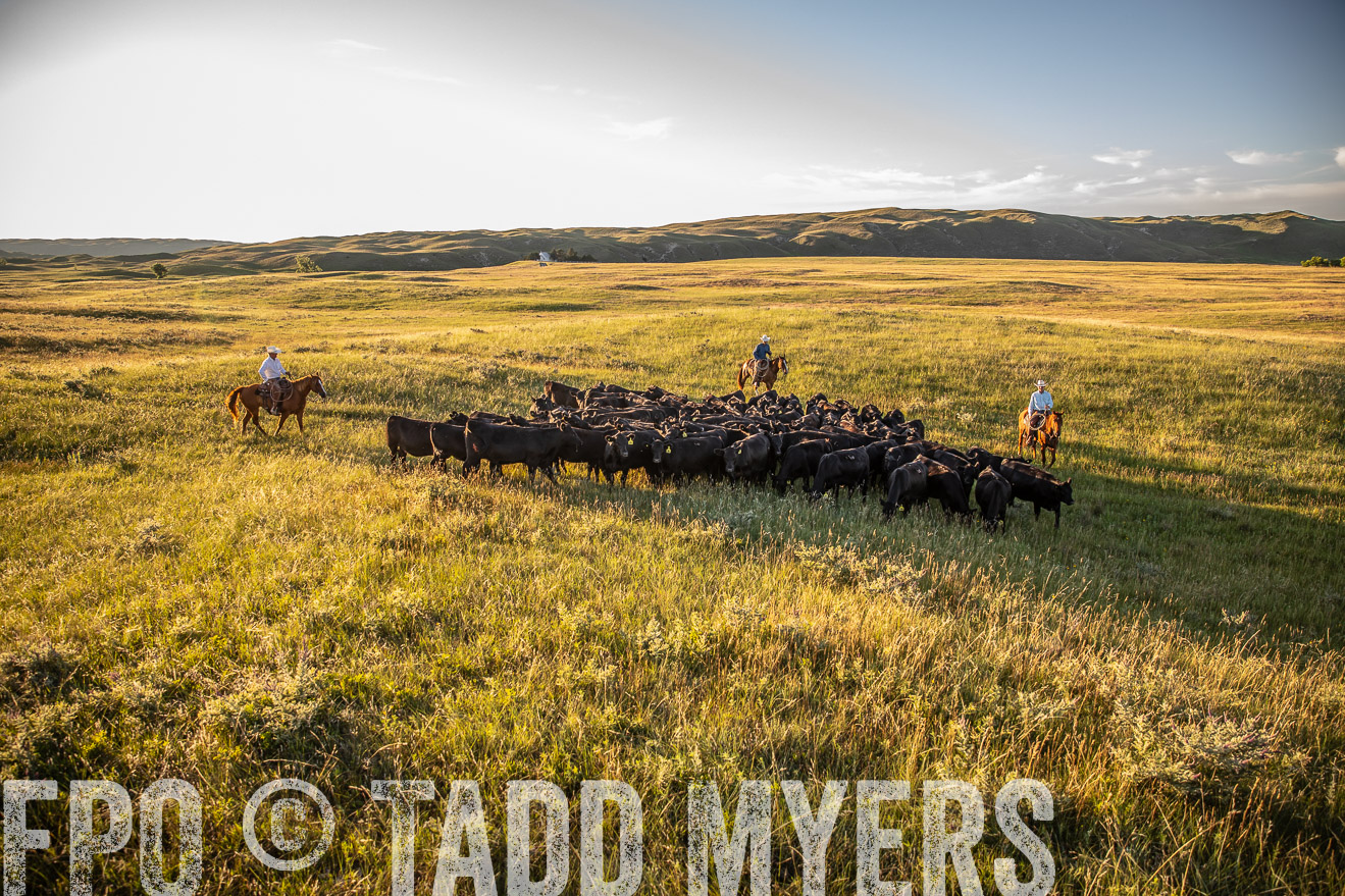 PP_TuckerRanch_NE_July2019-42326