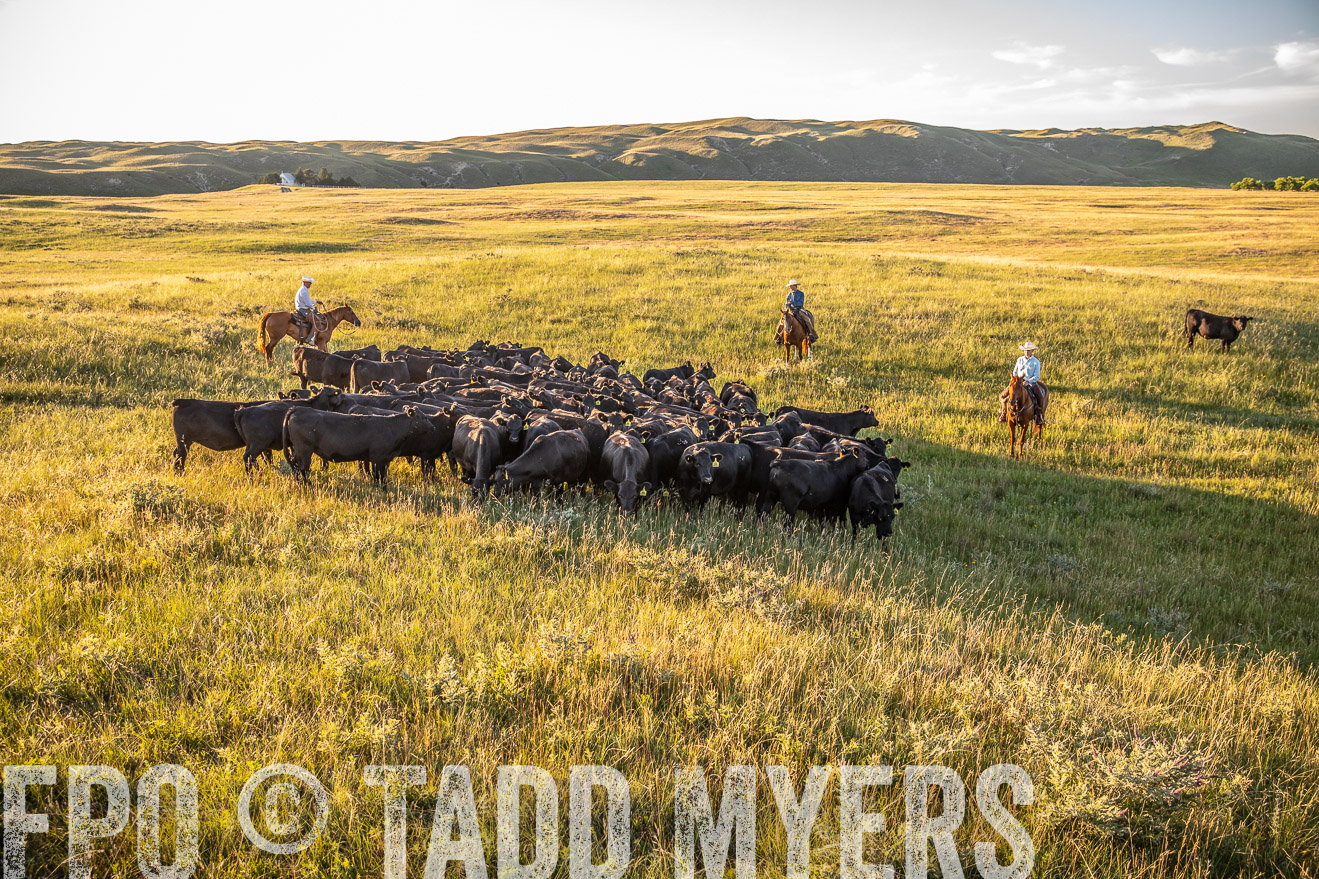 PP_TuckerRanch_NE_July2019-42338