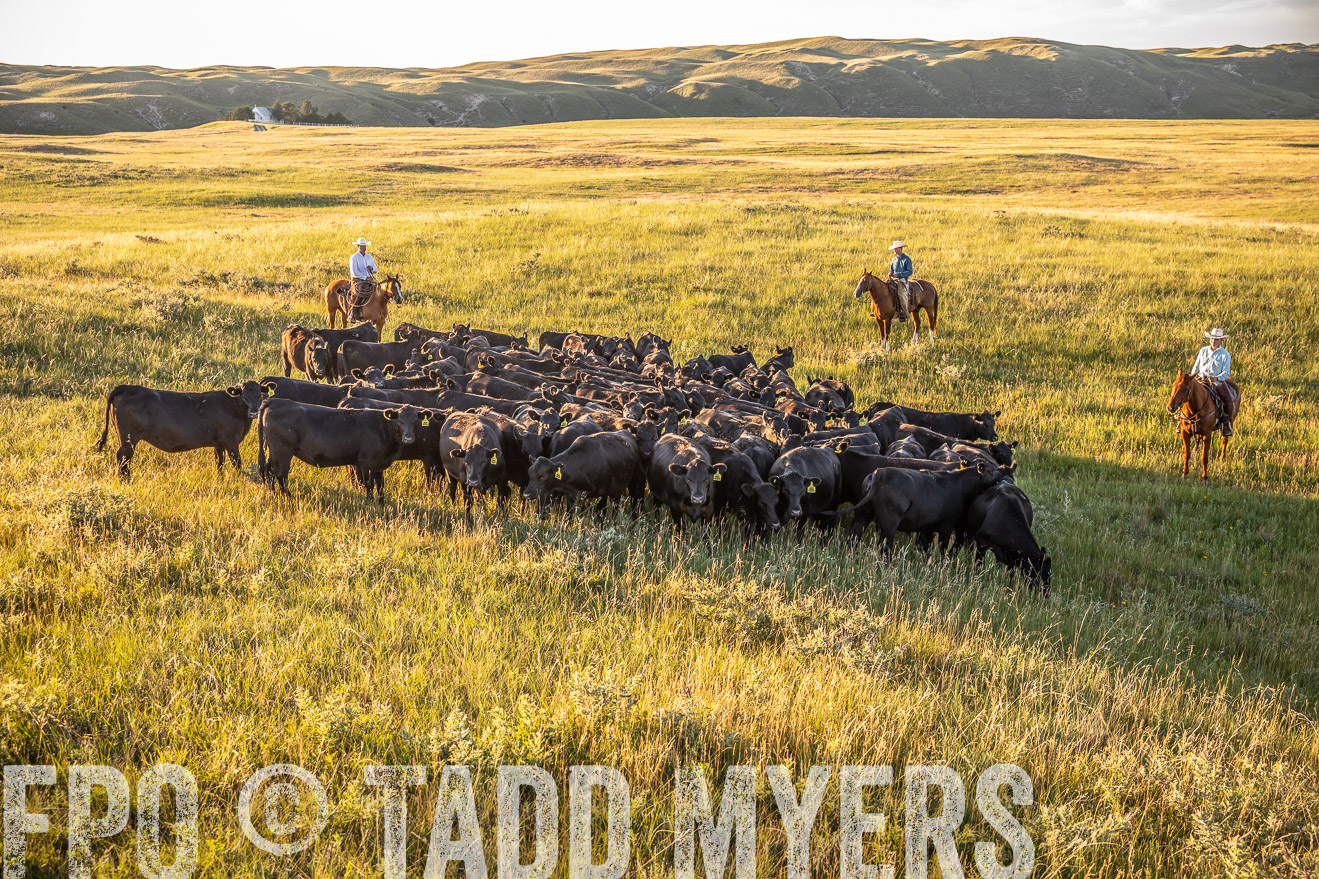PP_TuckerRanch_NE_July2019-42344